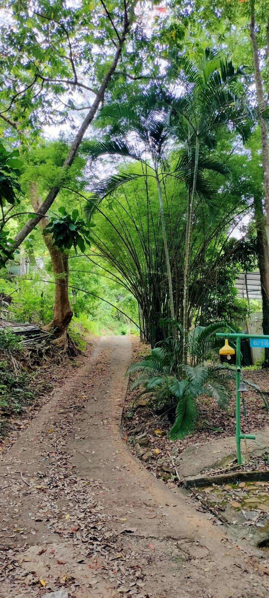 Homestay Mountain Jungalows, Koh Chang Trat