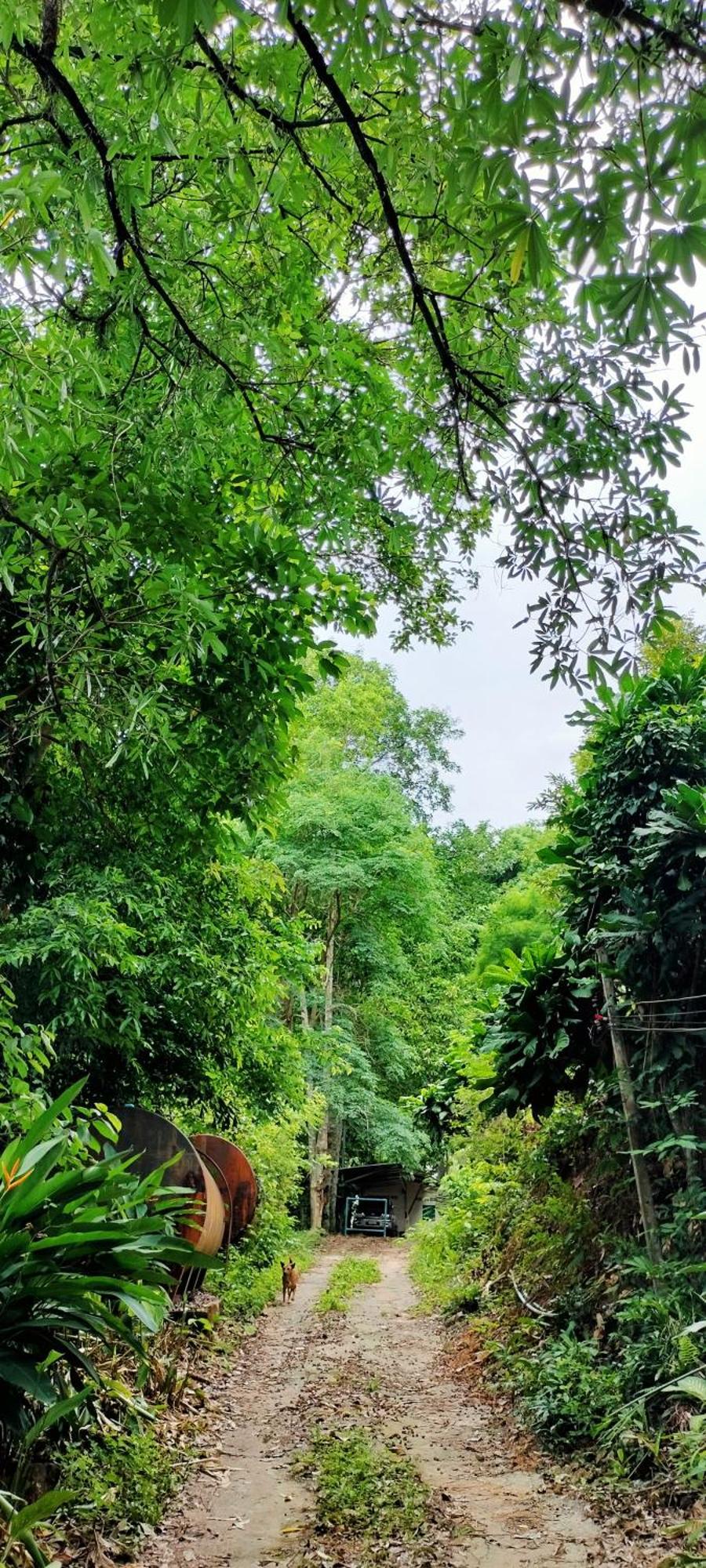 Mountain Jungalows, Koh Chang Homestay Trat