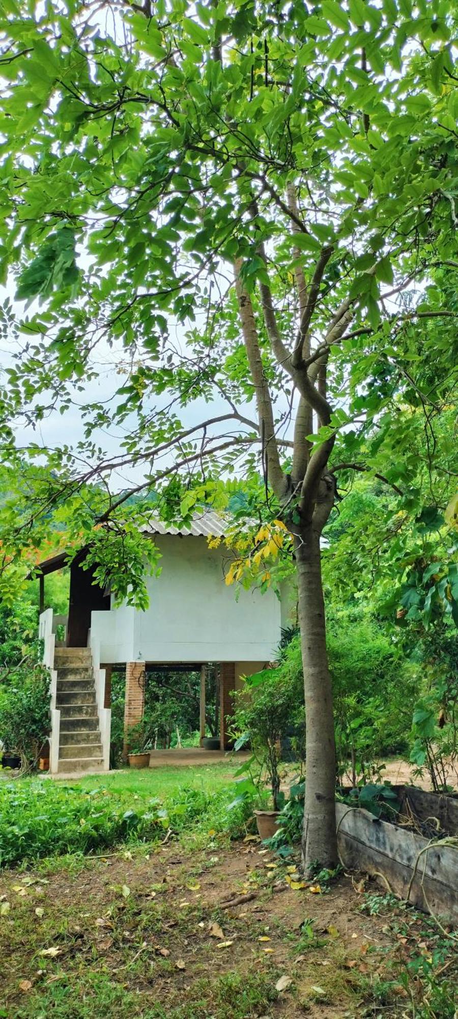 Mountain Jungalows, Koh Chang Trat