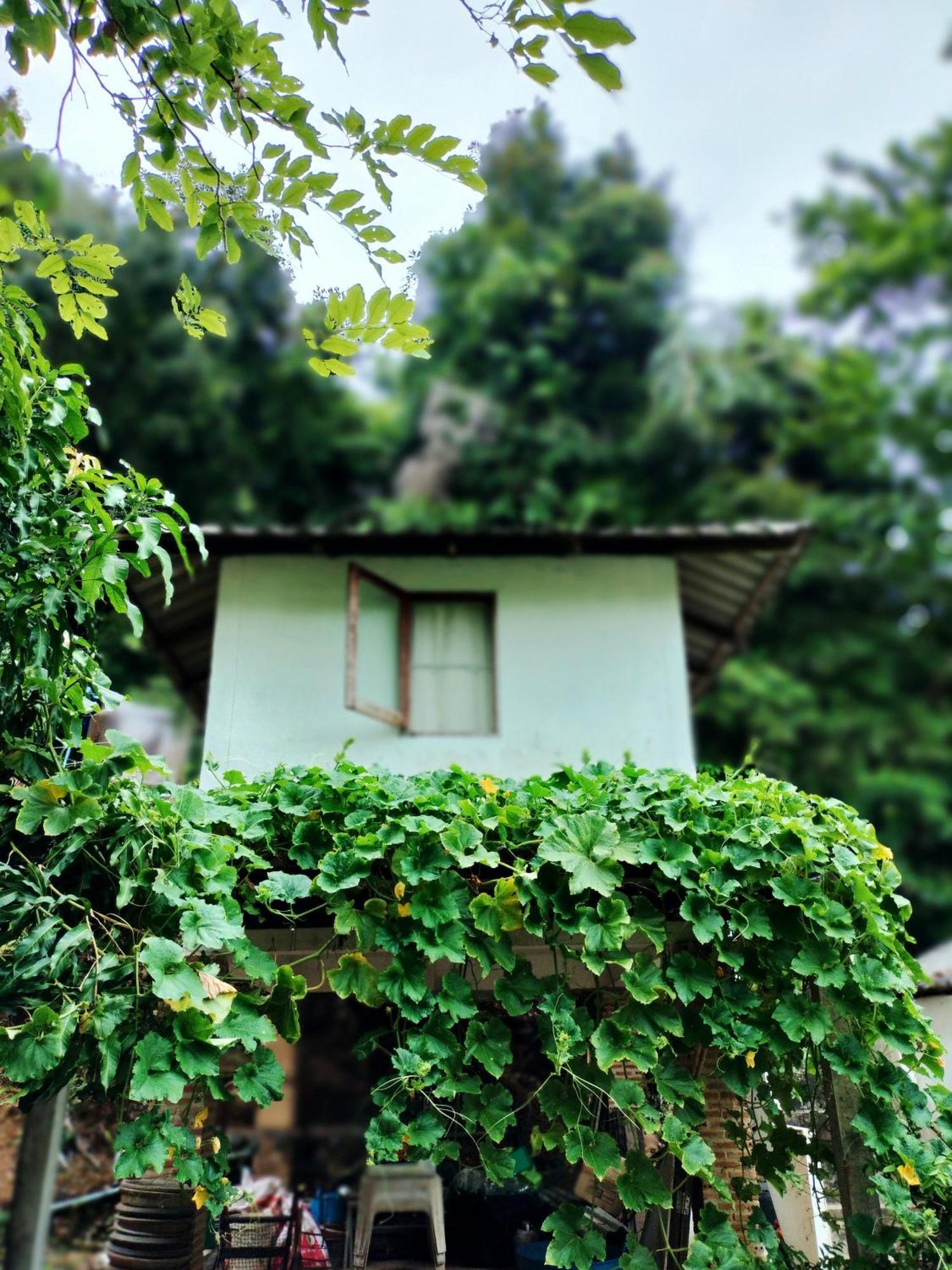 Homestay Mountain Jungalows, Koh Chang Trat