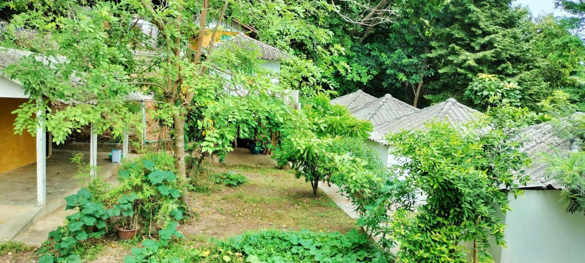 Homestay Mountain Jungalows, Koh Chang *