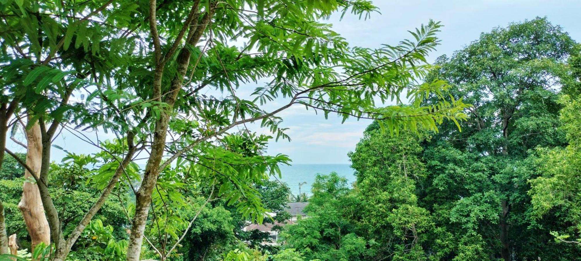 Mountain Jungalows, Koh Chang Homestay Trat