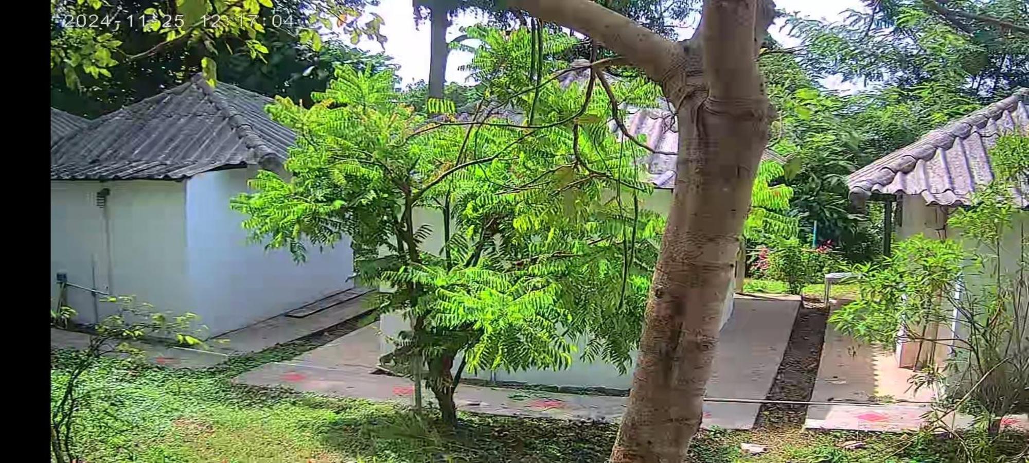 Mountain Jungalows, Koh Chang Homestay