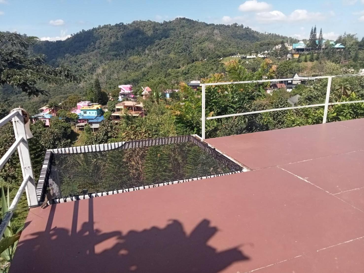 Tree * Khao Kho