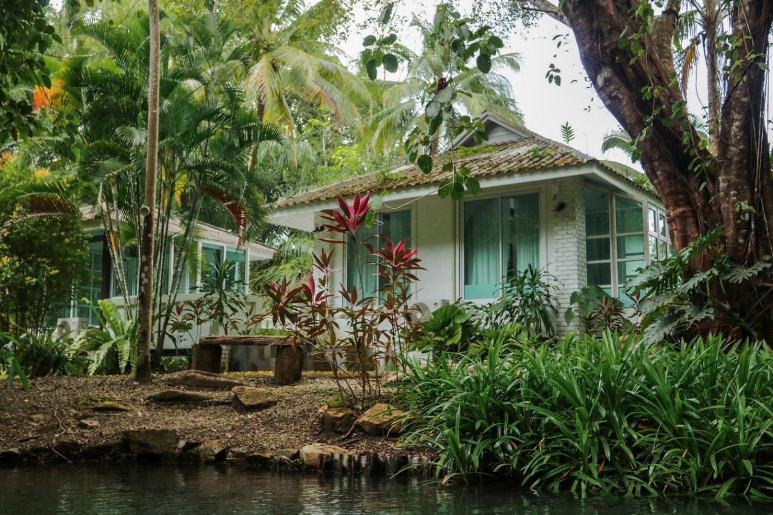 Blu Monkey Pooltara & Pet Friendly Krabi