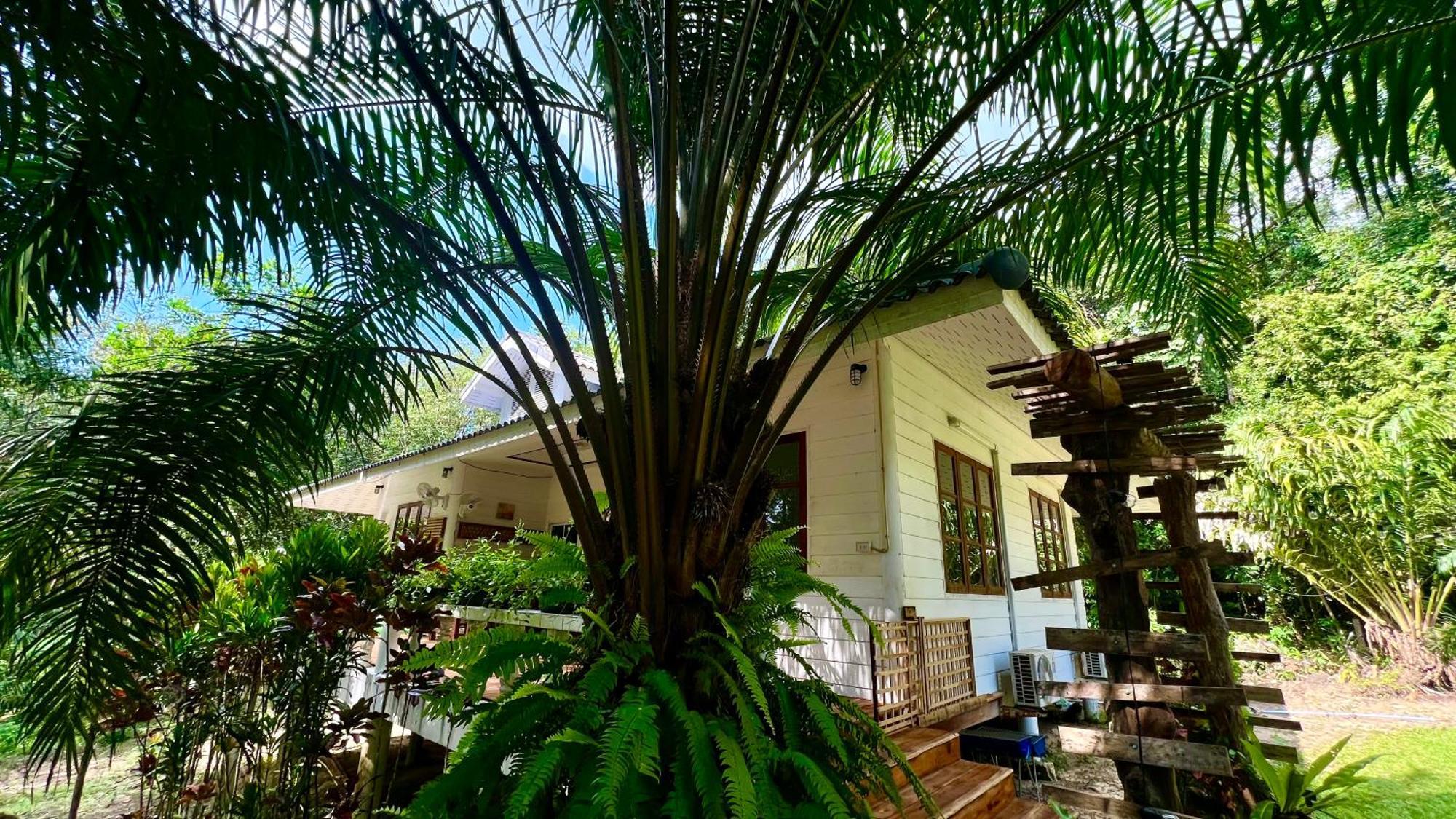 Kood Life Guest house 4*