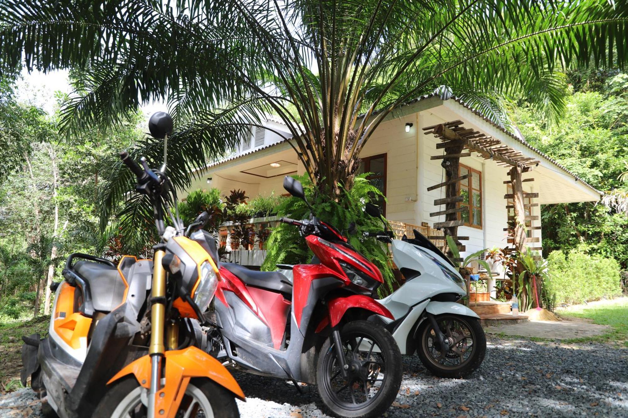 Kood Life Guest house 4*