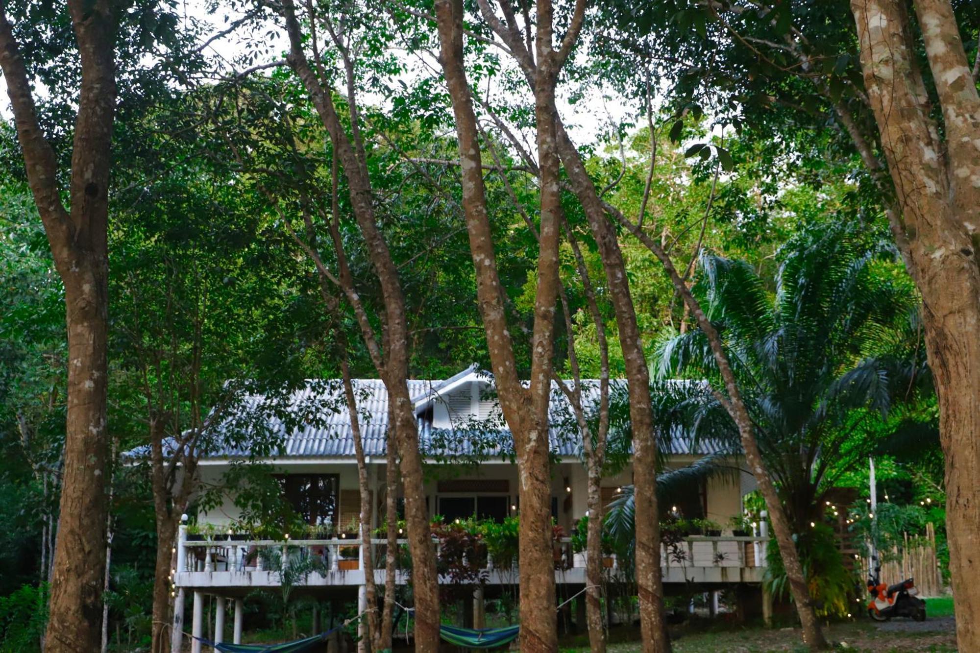 Kood Life Guest house 4*