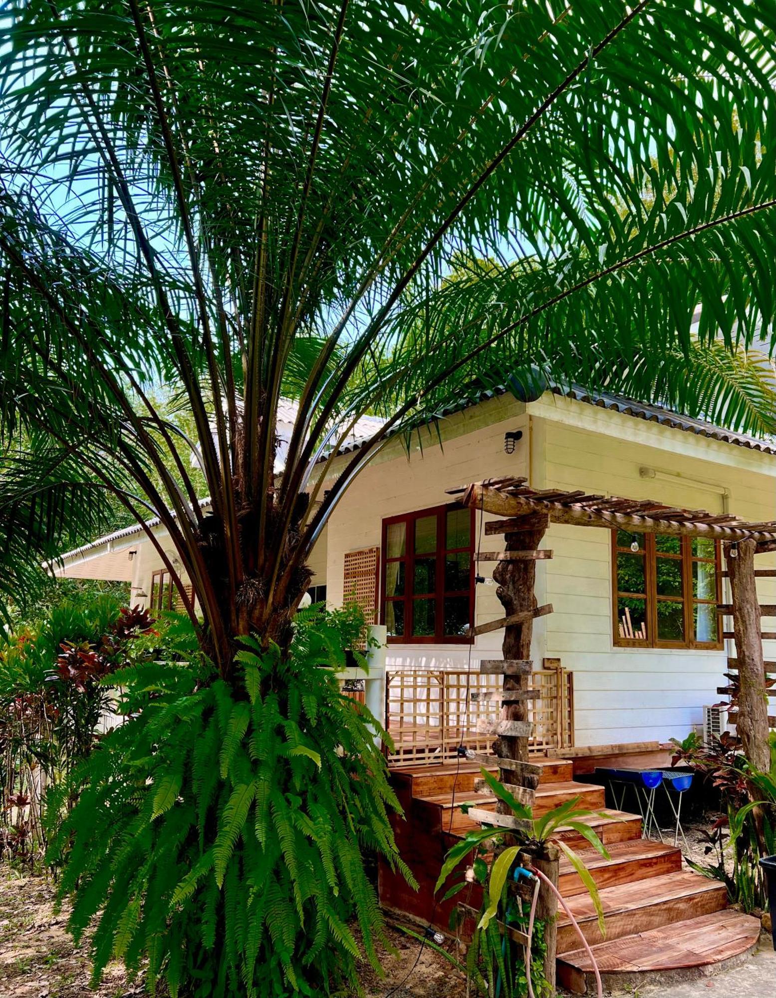 Guest house Kood Life 4*