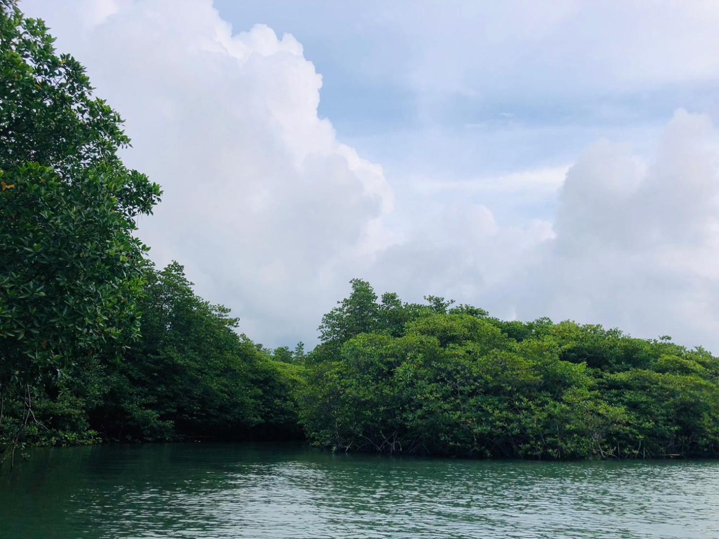 Homestay Mountain Jungalows, Koh Chang