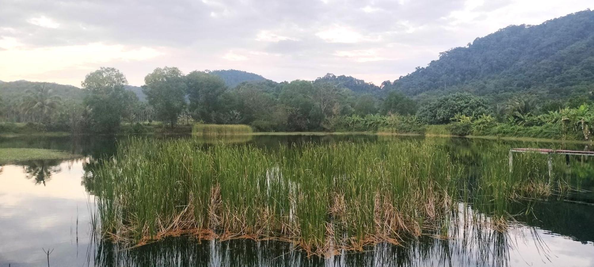 Homestay Mountain Jungalows, Koh Chang