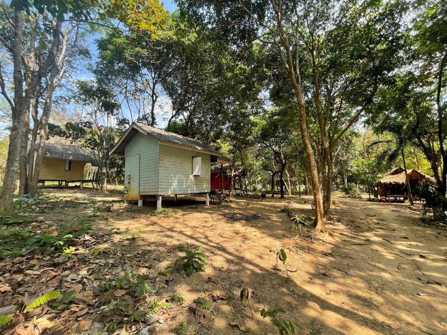 Lodge Eternal Forest Bar&bungalow *