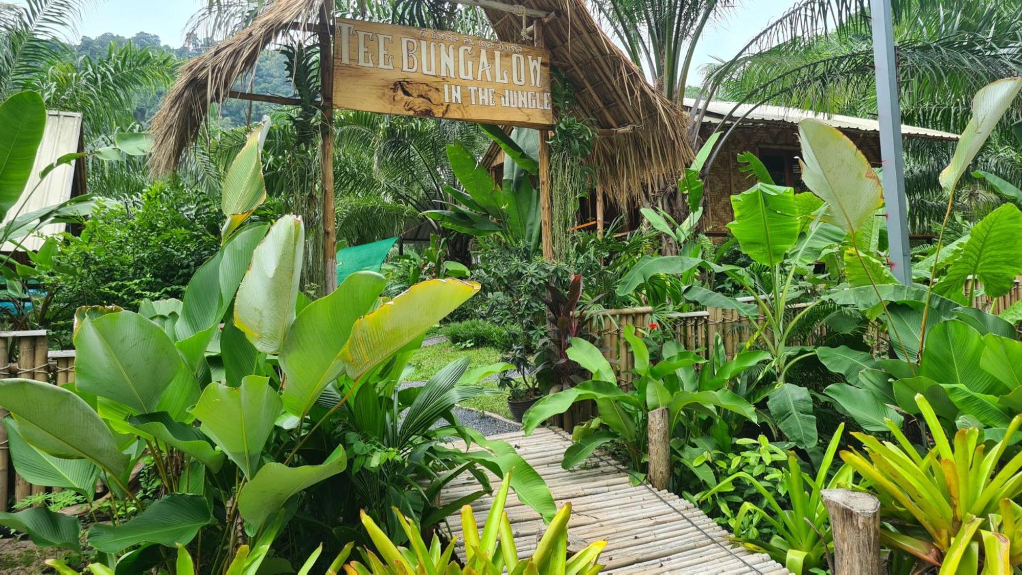 Tee In The Jungle * Ao Nang