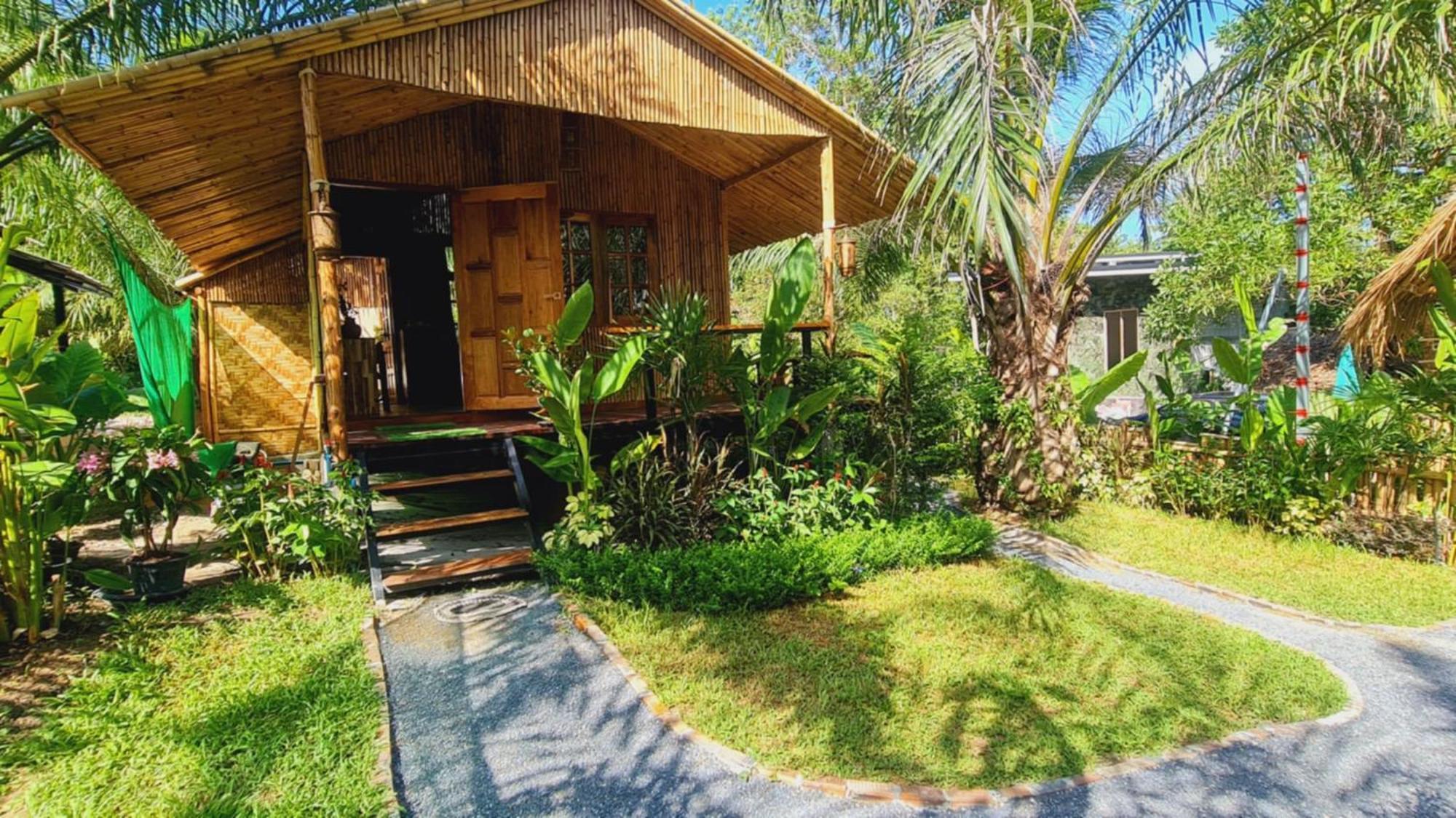 Hotel Tee In The Jungle