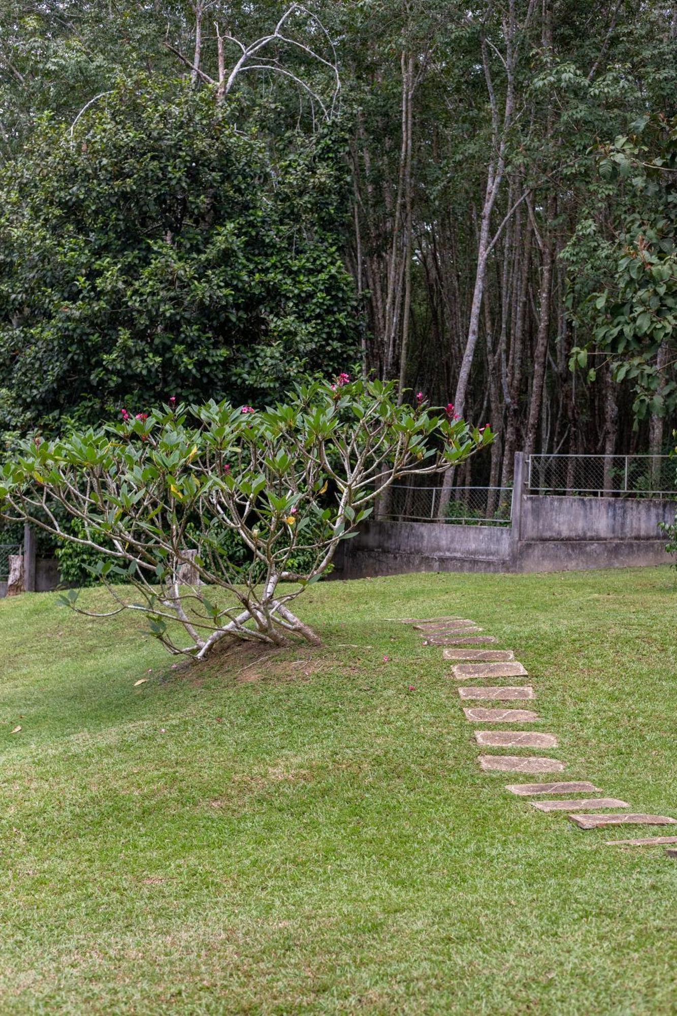 Jungle View Villa Krabi Thailand Holiday home