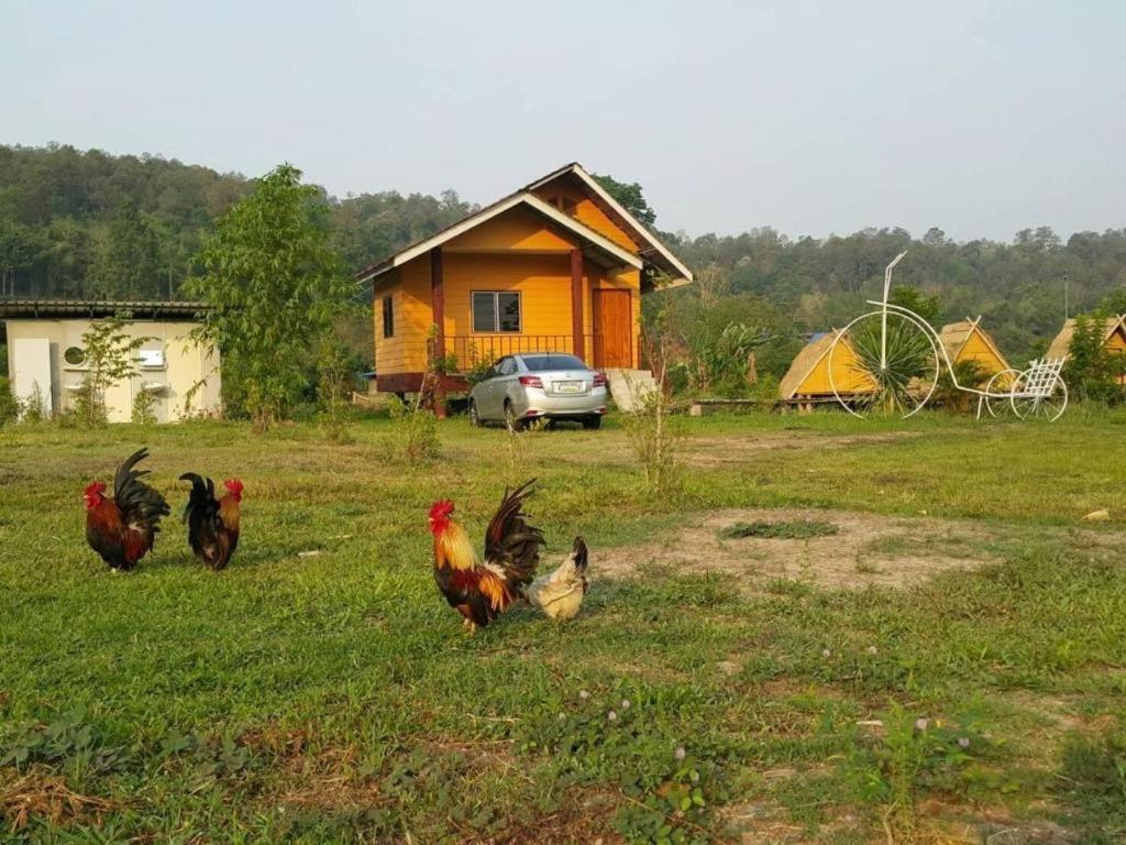 Peisanae Faikeng Pua