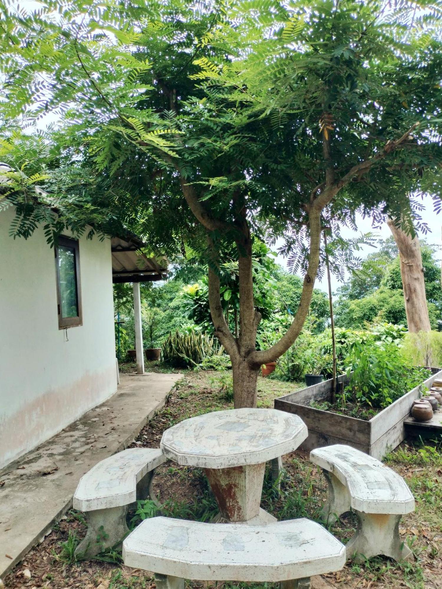 Mountain Jungalows, Koh Chang Homestay Trat
