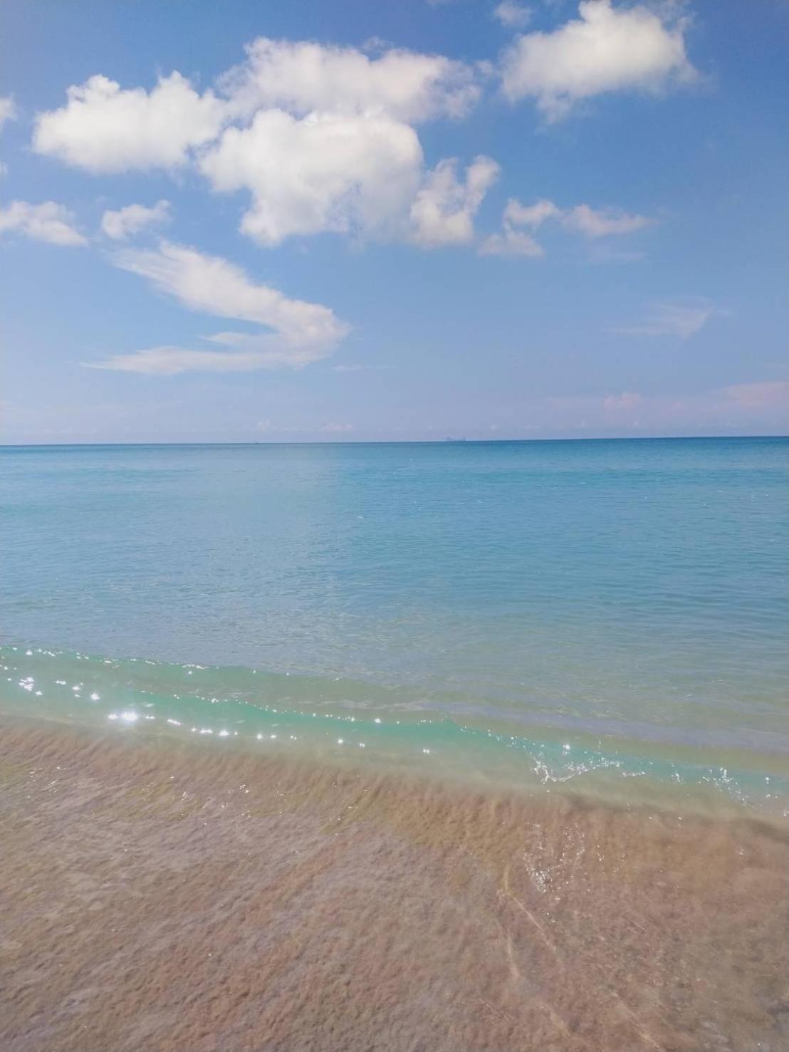 Holiday park Walden - Tiny Homes By The Sea *