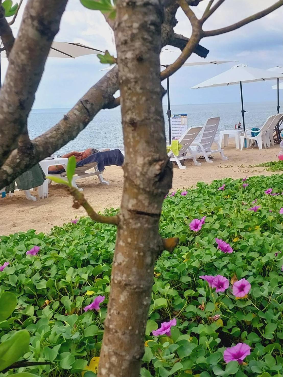 Walden - Tiny Homes By The Sea Holiday park Koh Lanta