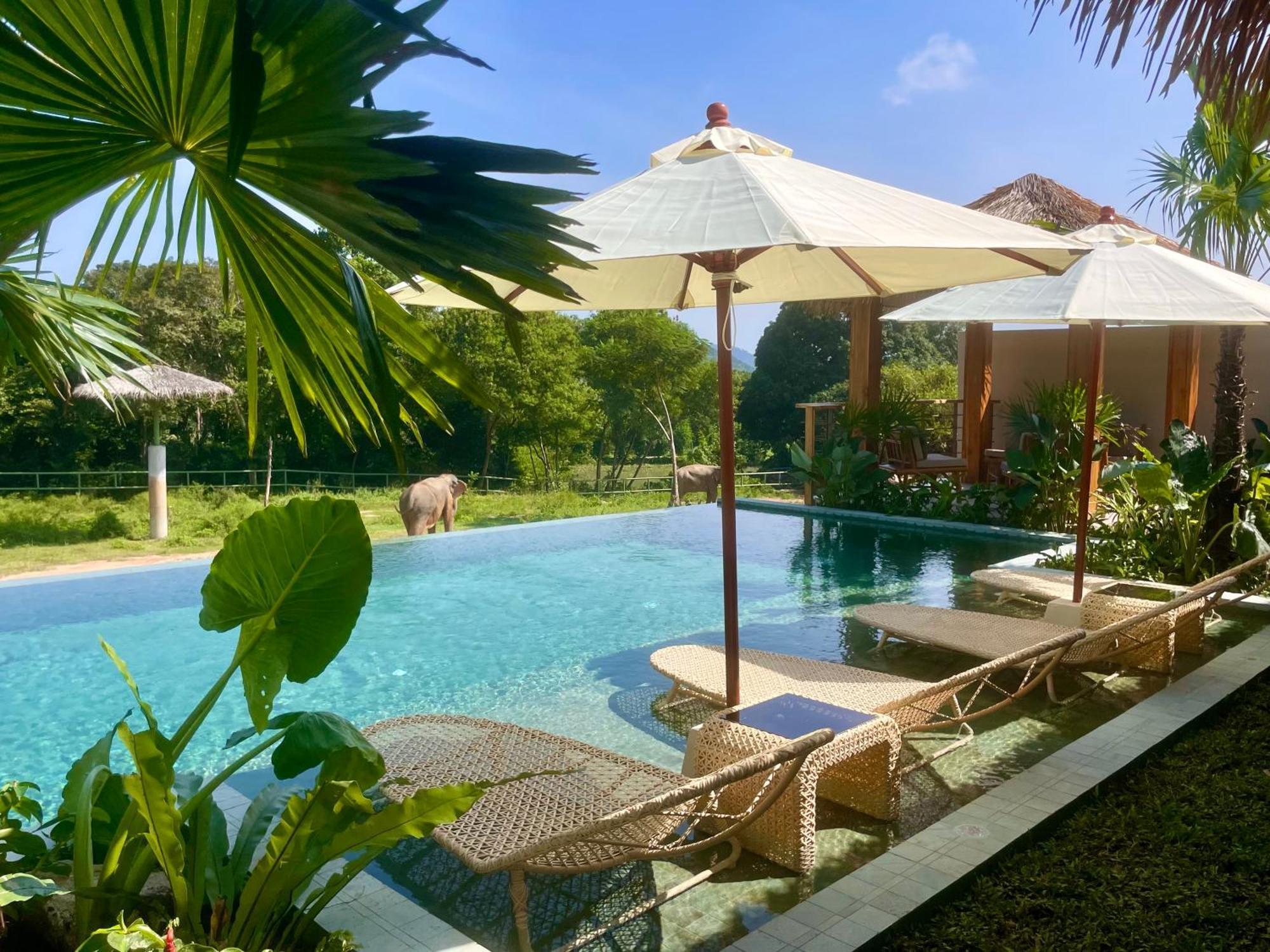 Hotel Wild Elephant Sanctuary Amphoe Koksamui