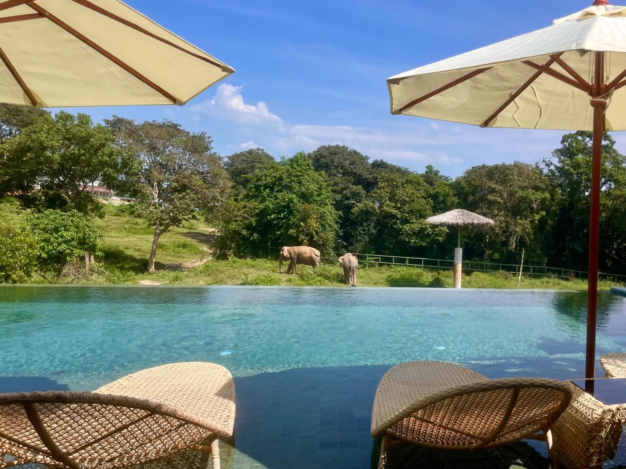 Wild Elephant Sanctuary 5*
