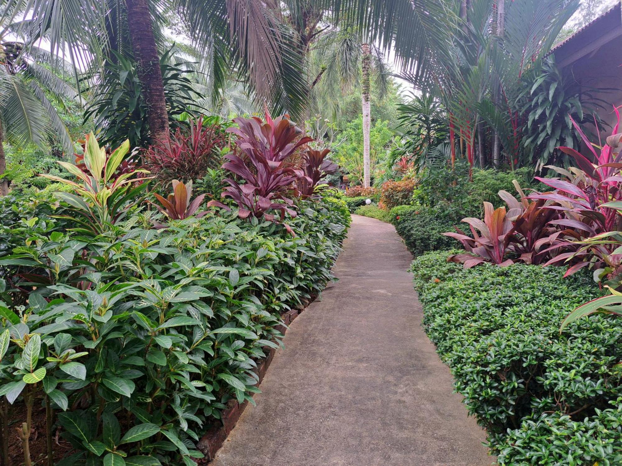 Jasmin - Sha 2* Khao Lak