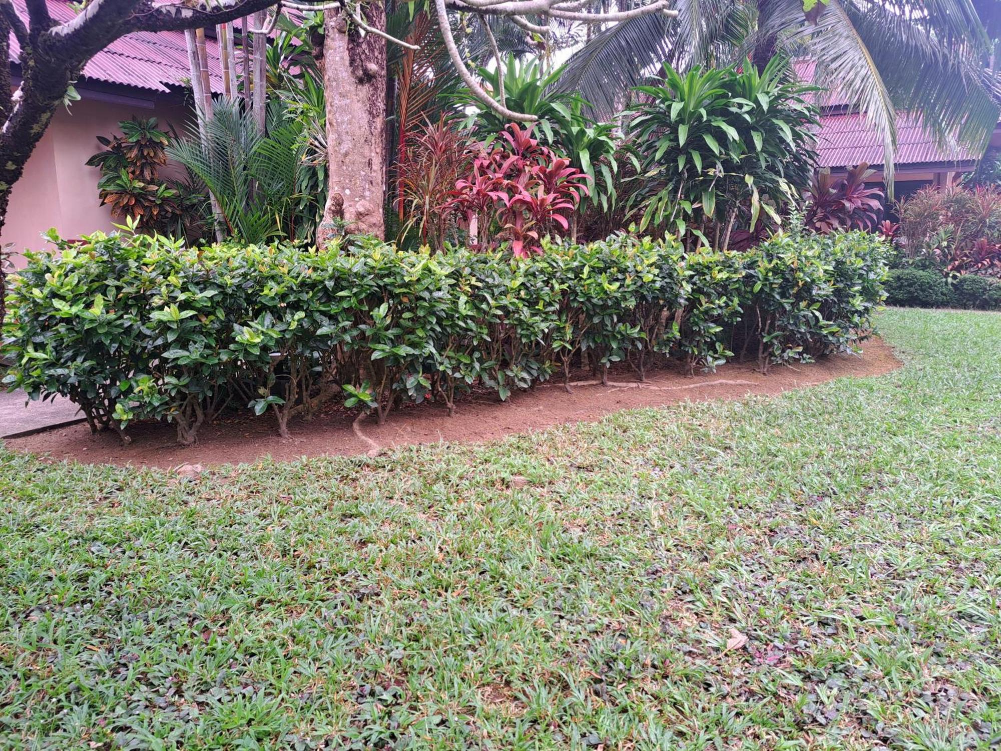 Resort Jasmin - Sha