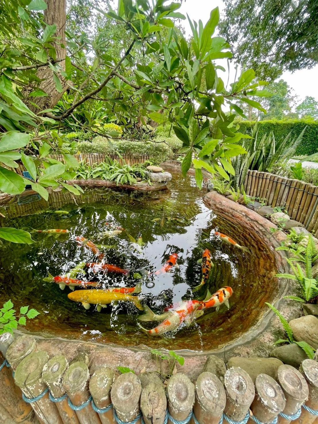 Resort River Valley แอทน่าน Nan