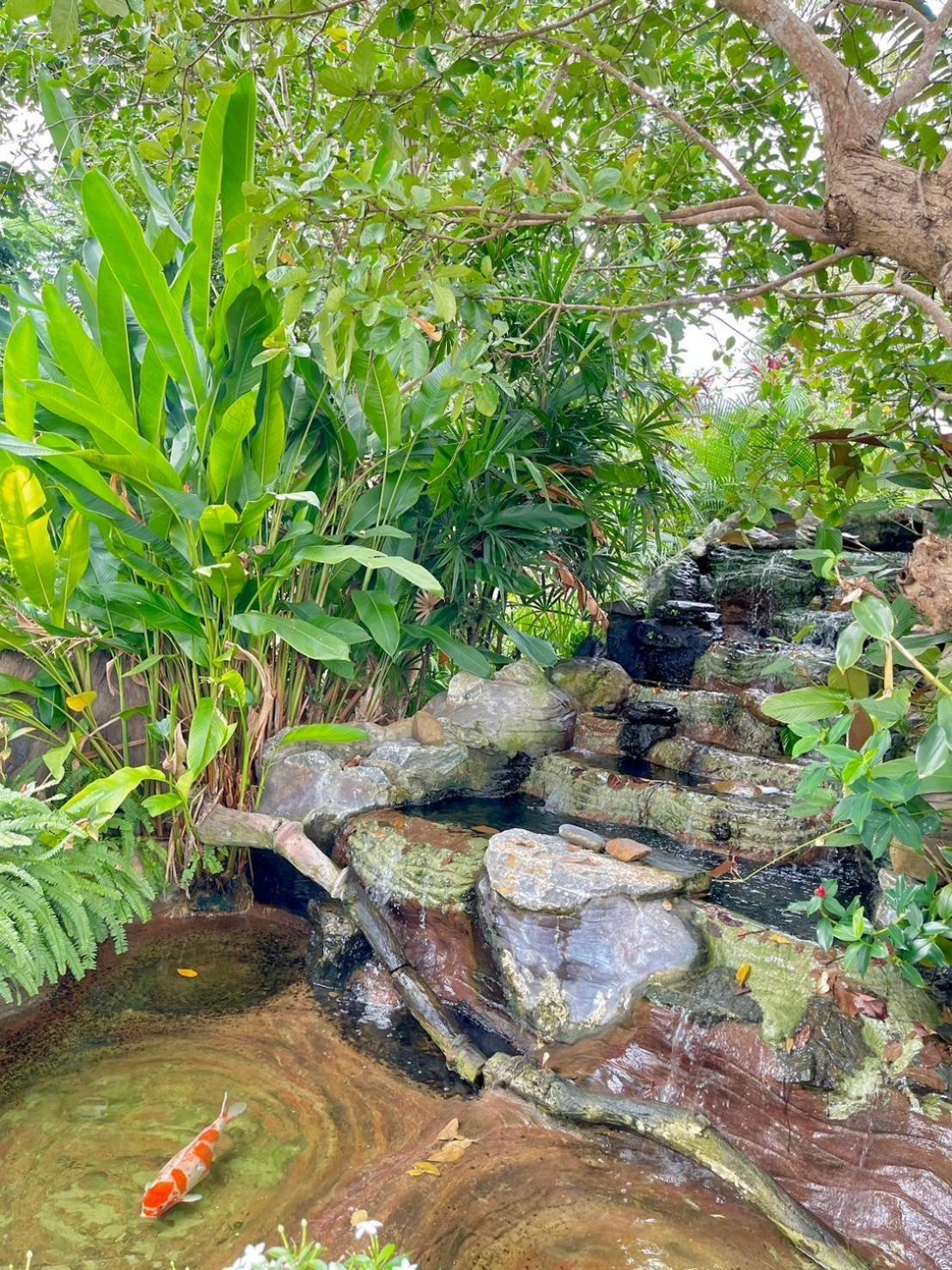 Resort River Valley แอทน่าน Nan
