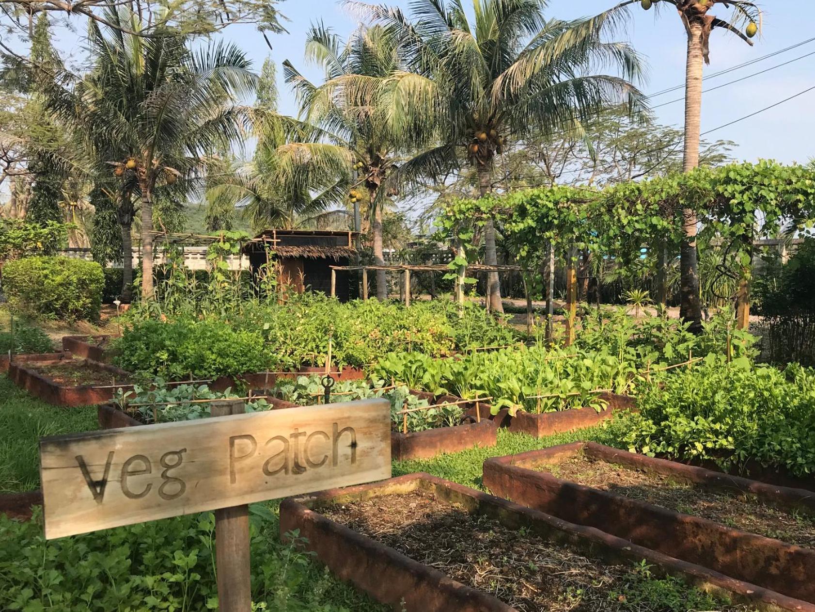 Resort Aleenta Hua Hin - - The Small Luxury Of The World 5*