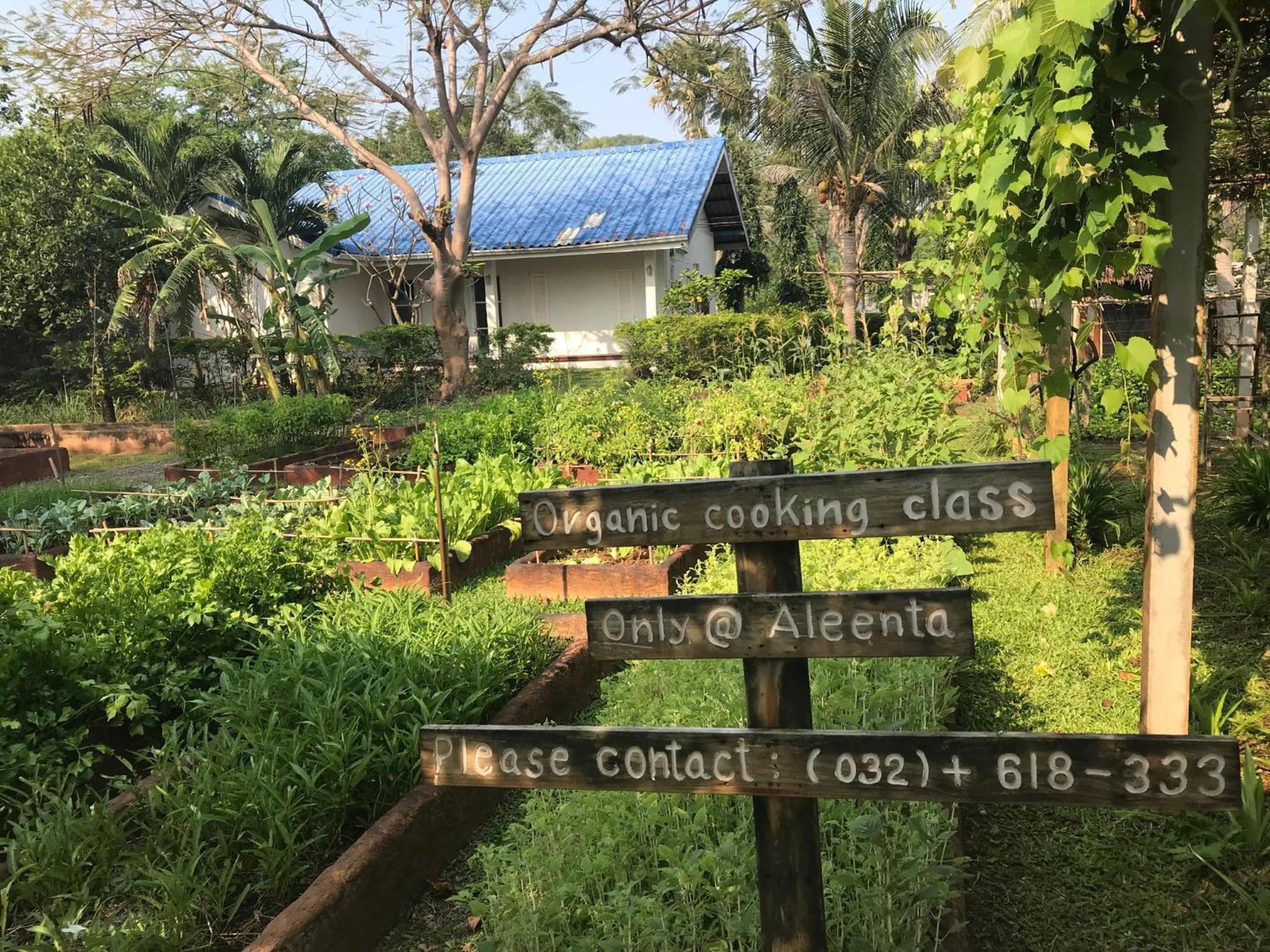 Aleenta Hua Hin - - The Small Luxury Of The World