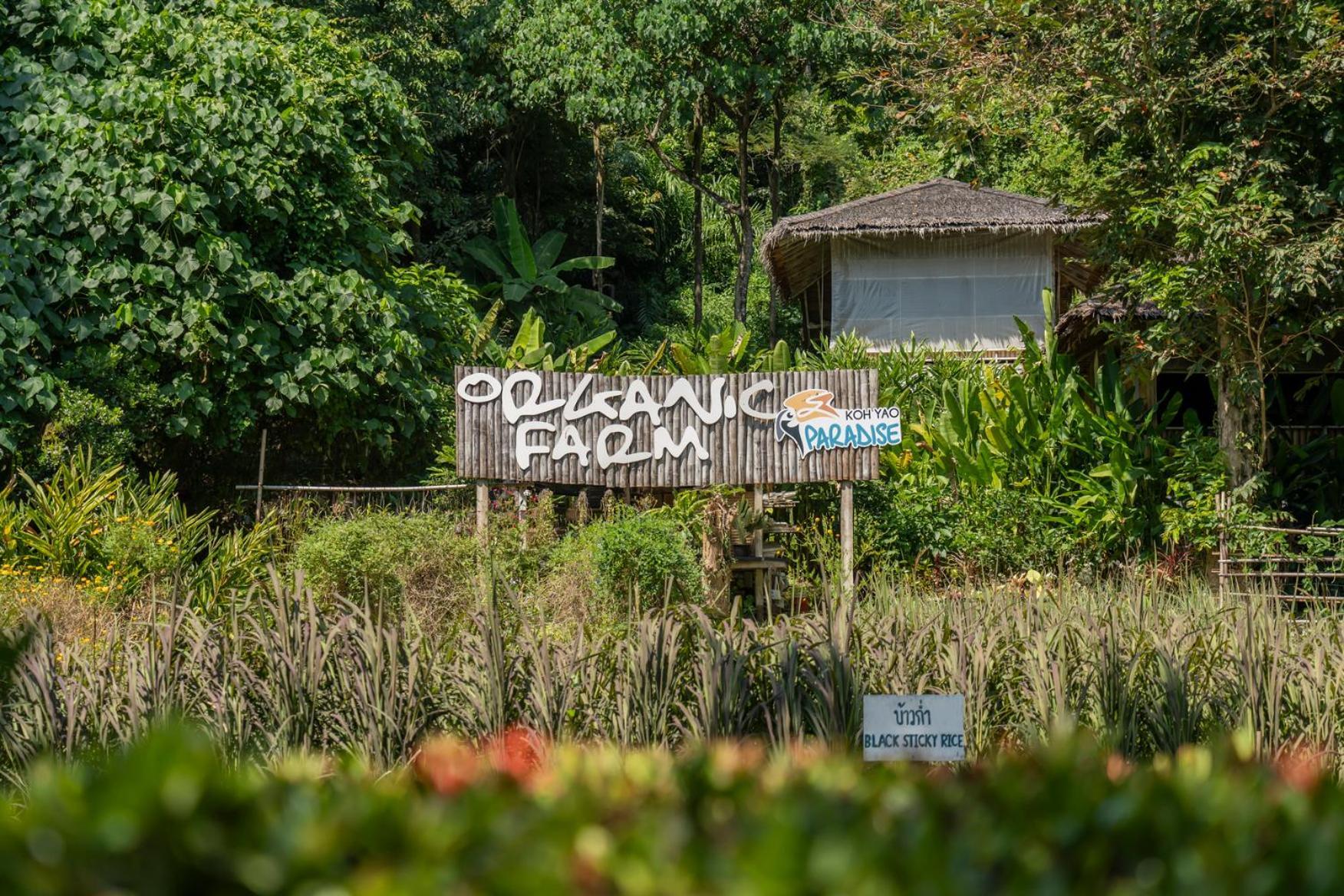 Resort Paradise Kohyao (adults Only)