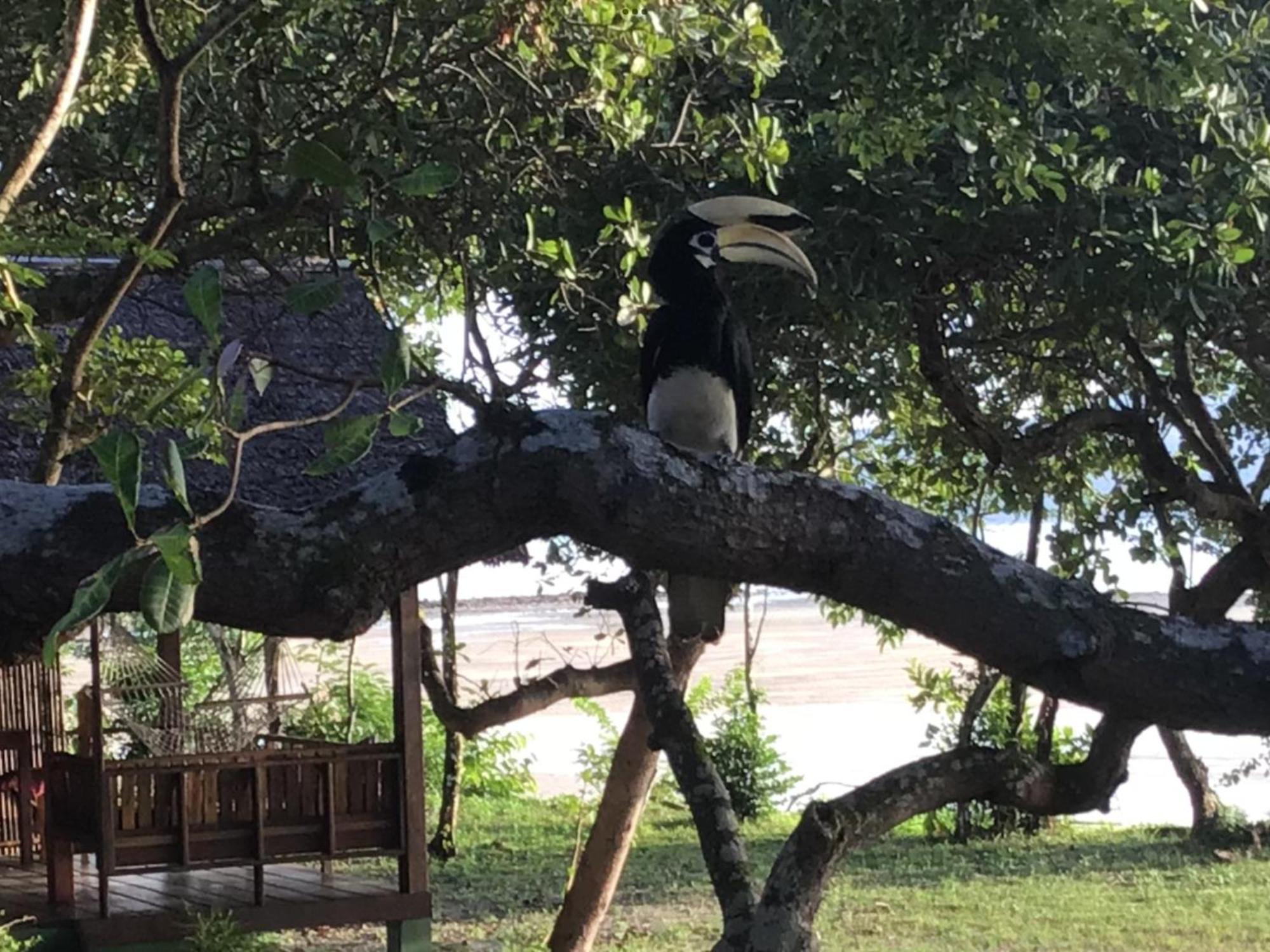 Pp Land Beach Eco Resort