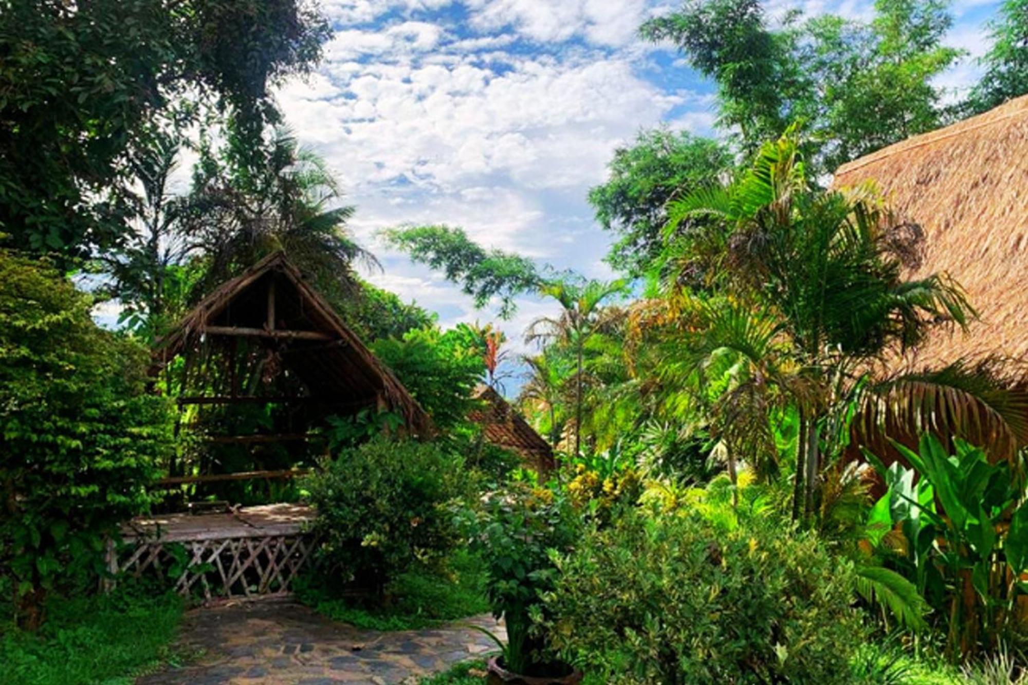 Old Tree's House Resort