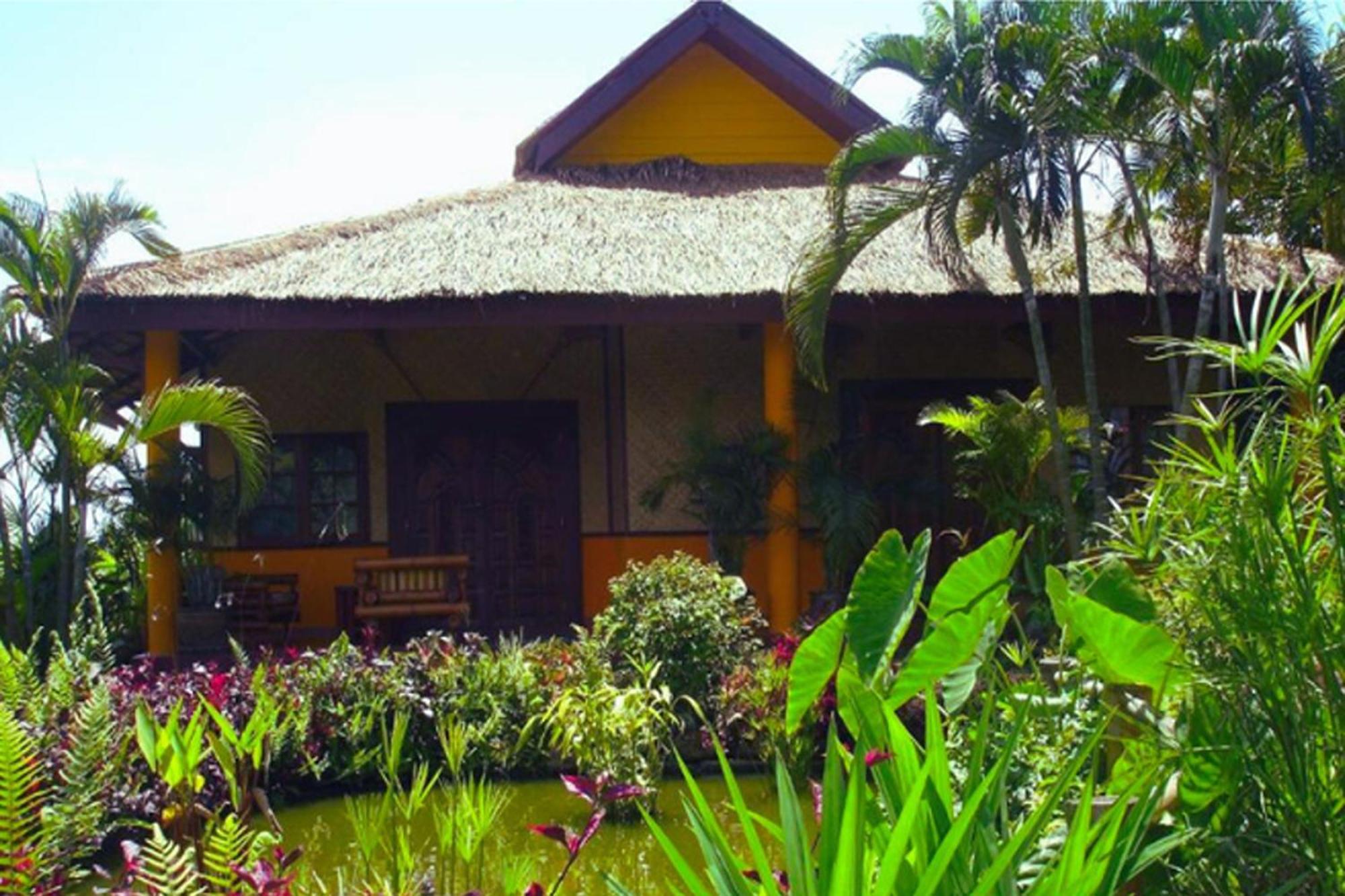 Old Tree's House Resort 2*