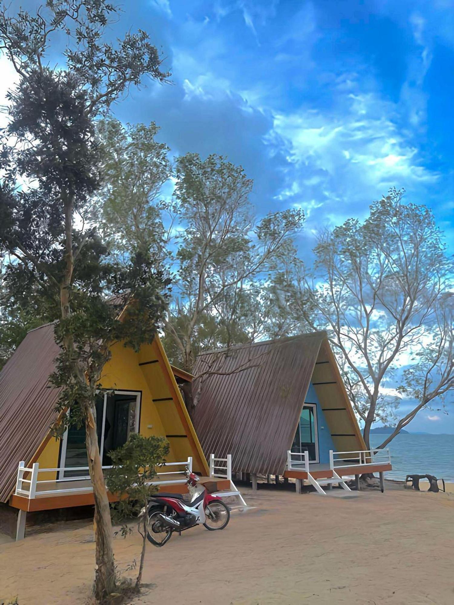 Tree Koh Phayam