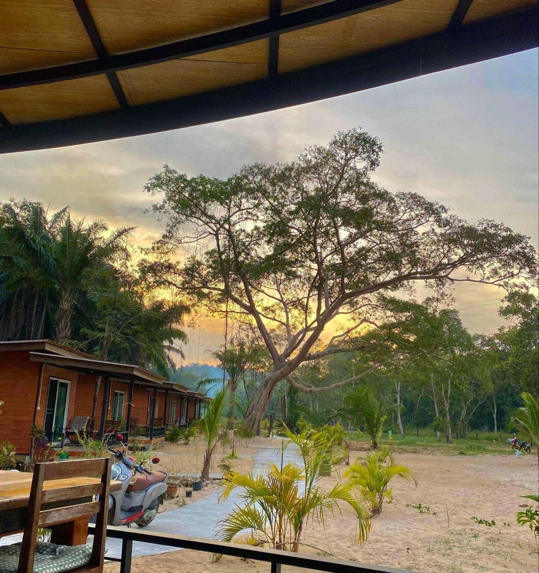 Resort Tree Koh Phayam