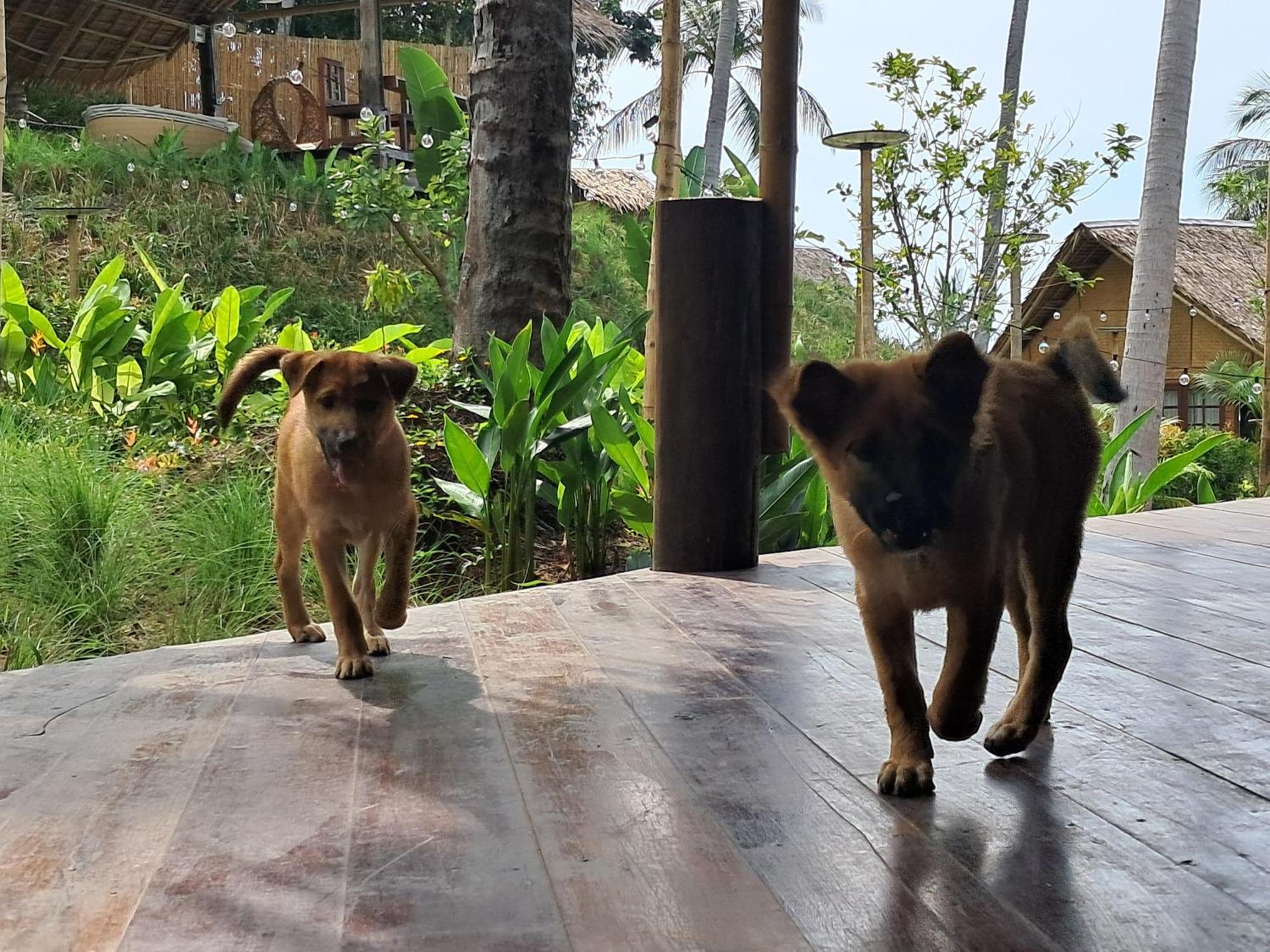 Hotel Roomquest Theva Koh Samui