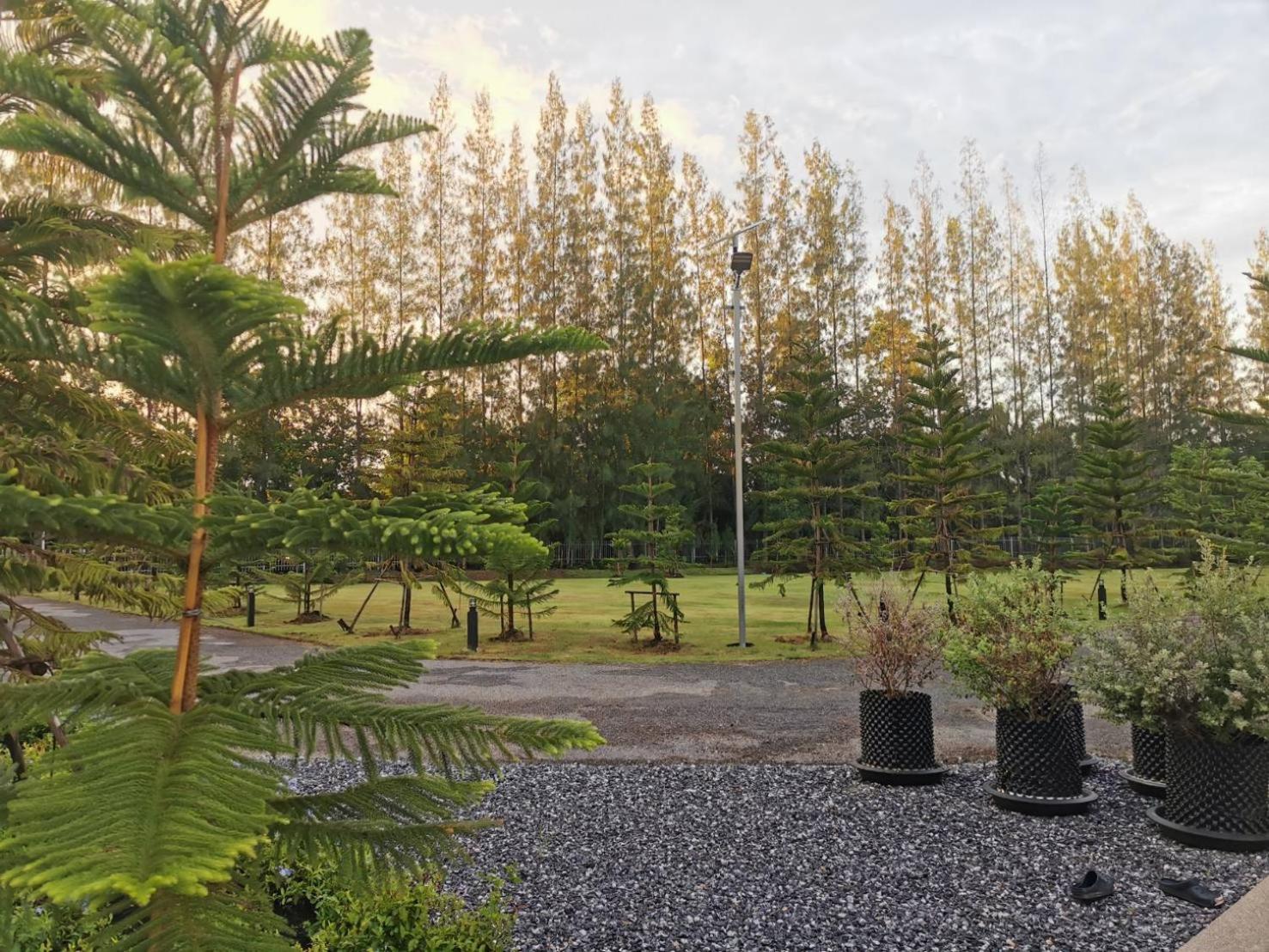 Tarn Villa Krabi