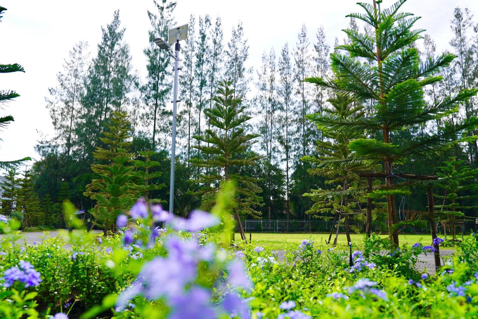 Tarn * Krabi