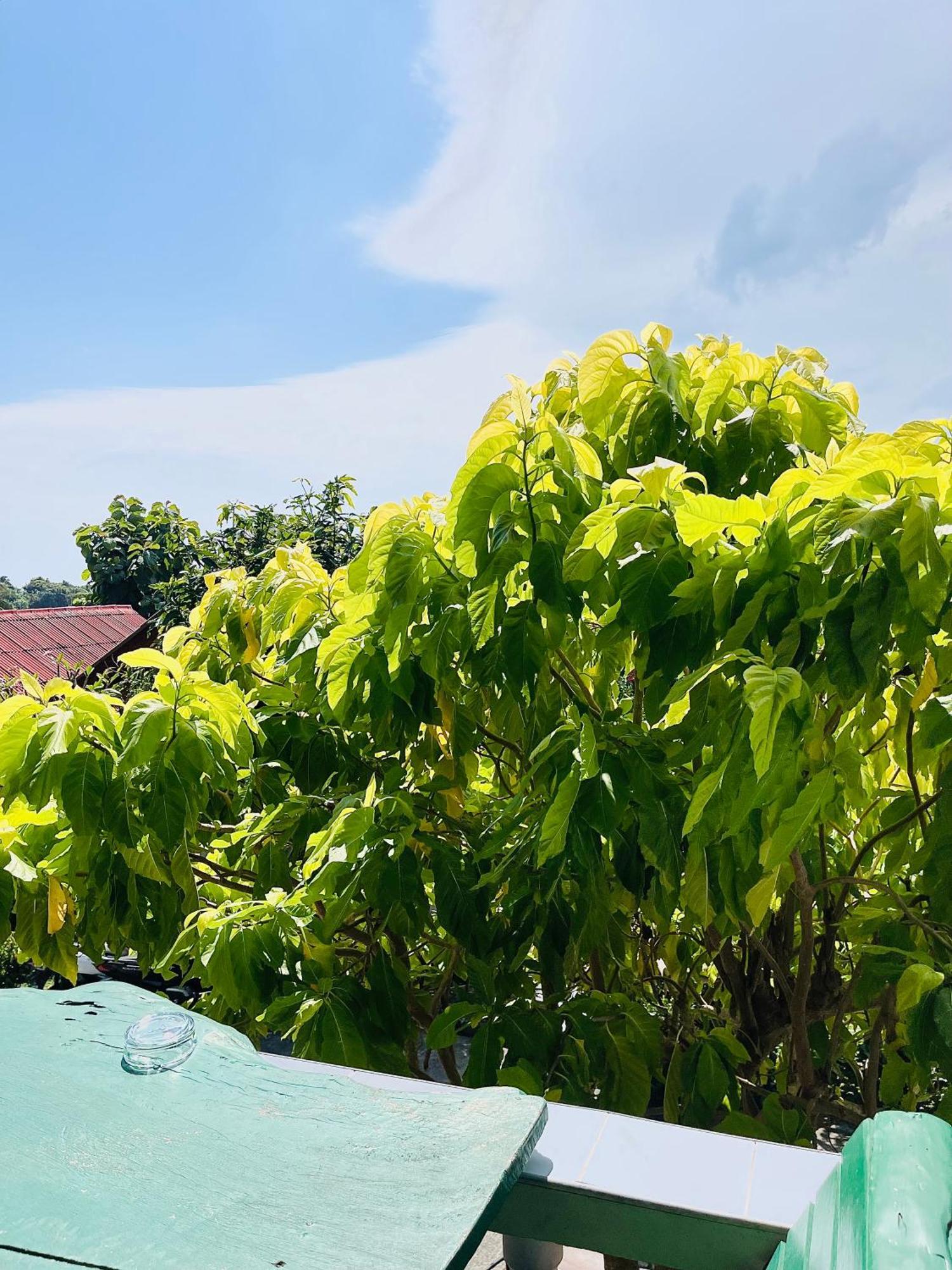 Holiday home Tanouy Garden Baan Khai