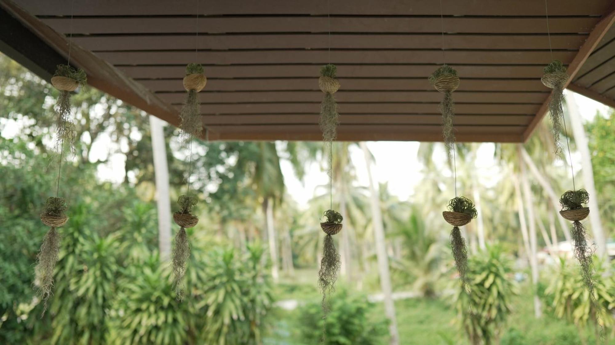 Resort My - Koh Phangan