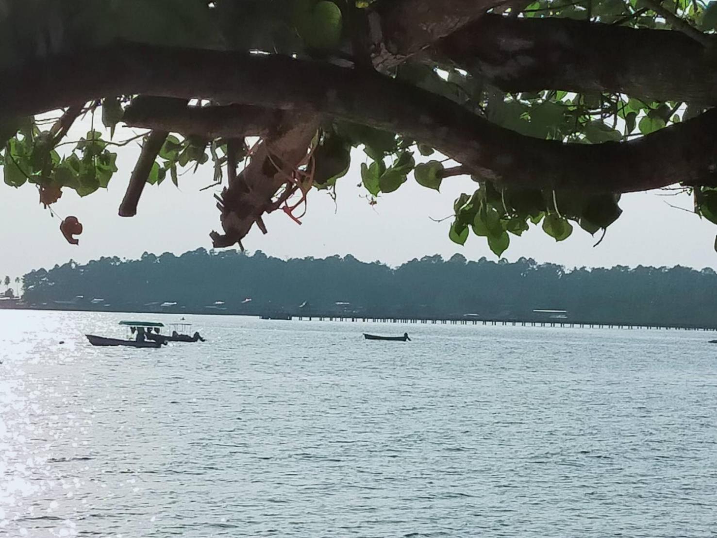 Eastique Koh Chang Hotel Trat