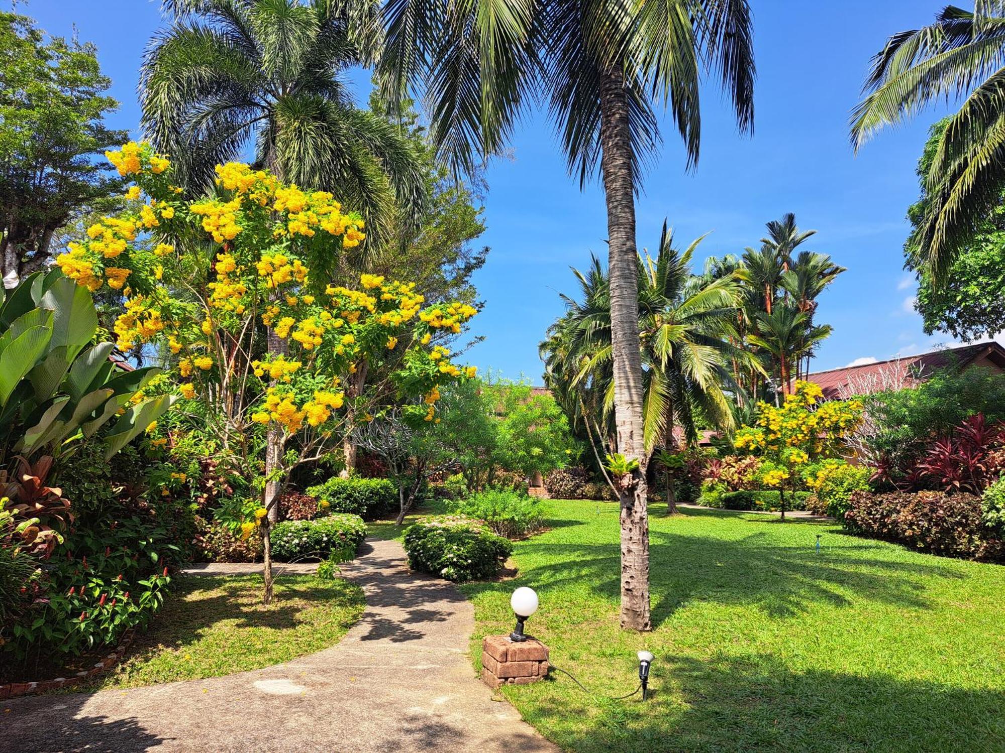 Jasmin - Sha Khao Lak