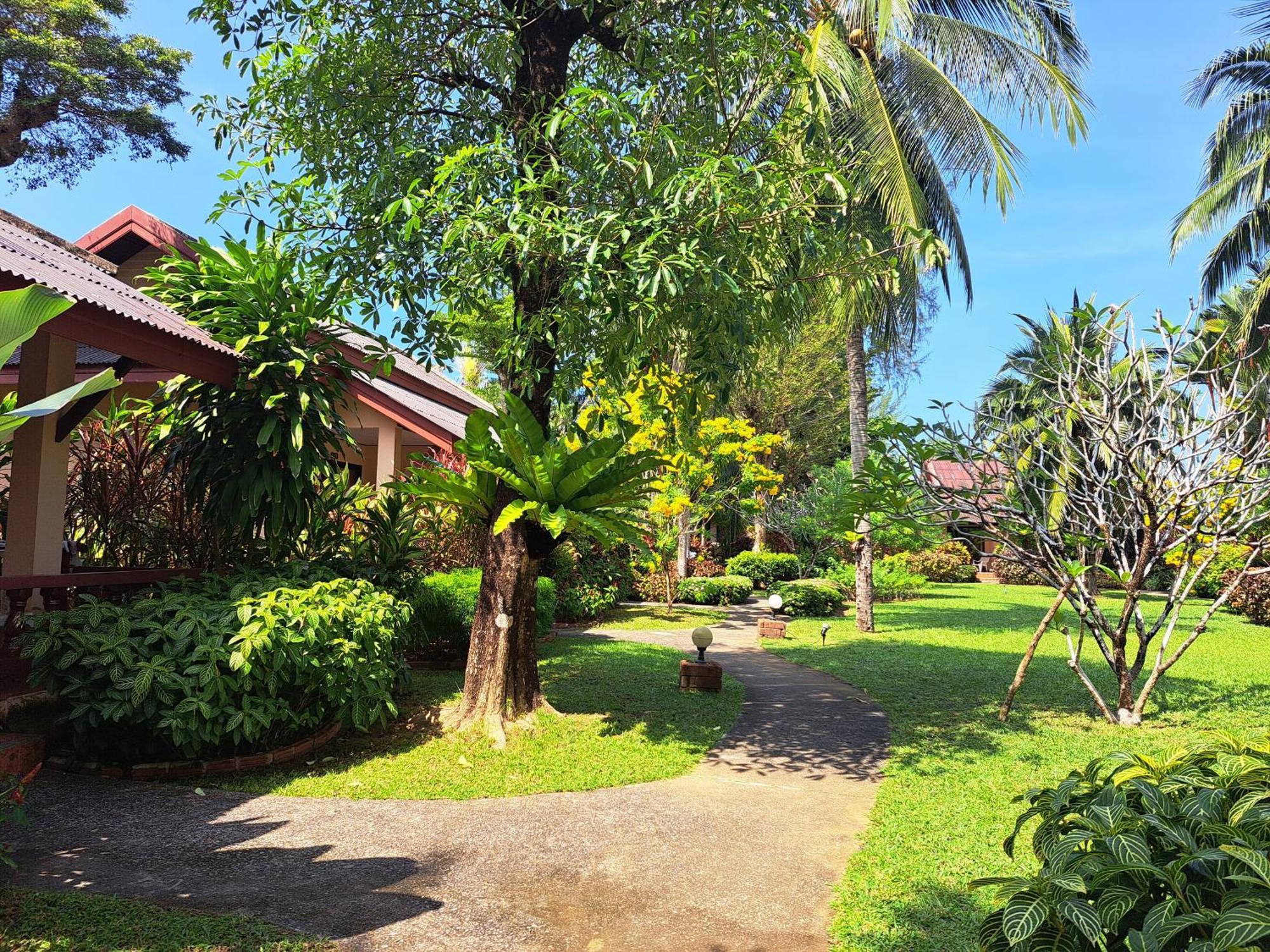 Jasmin - Sha Resort