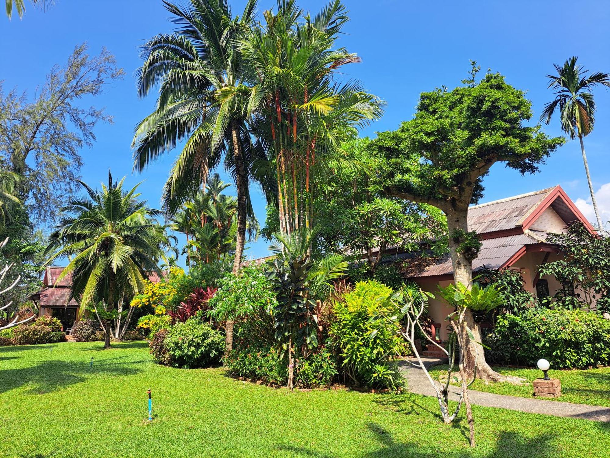 Jasmin - Sha Khao Lak