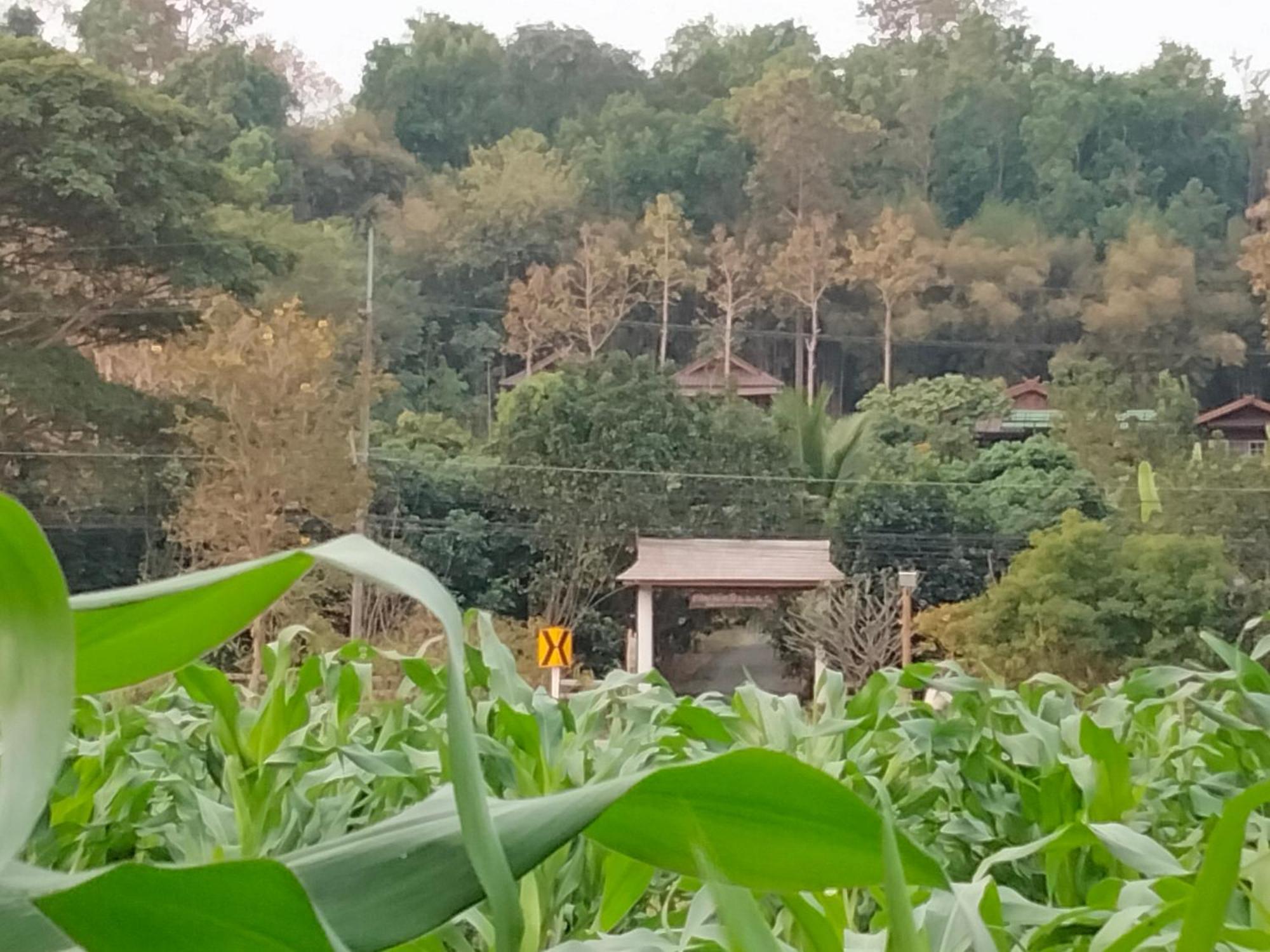 Ban Suan Nai Fun Pua