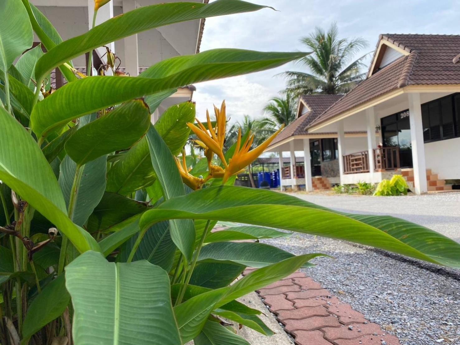 หาดทรายขาวรีสอร์ท Guest house Bang Saphan
