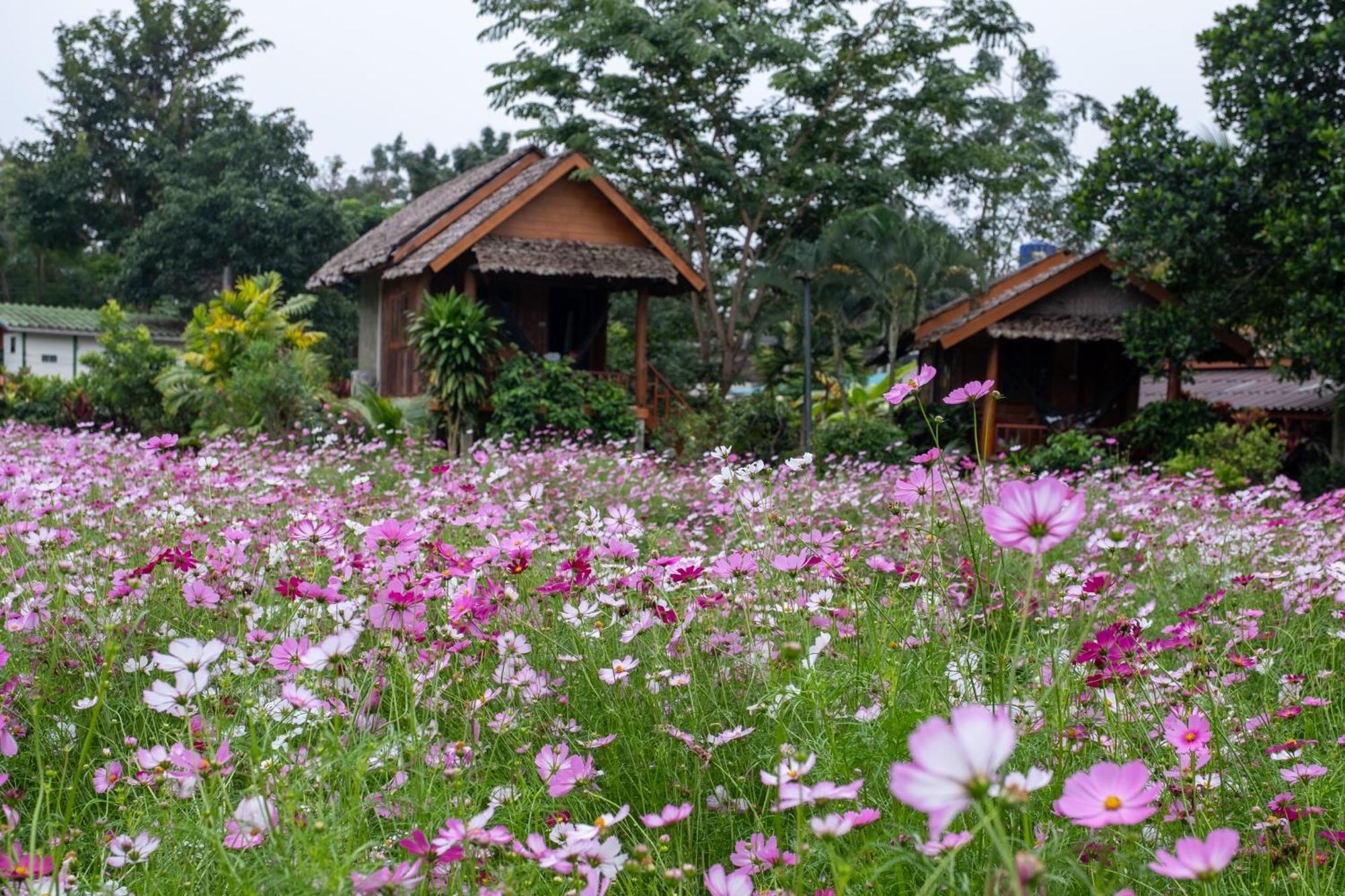 Resort The Nest House Pai