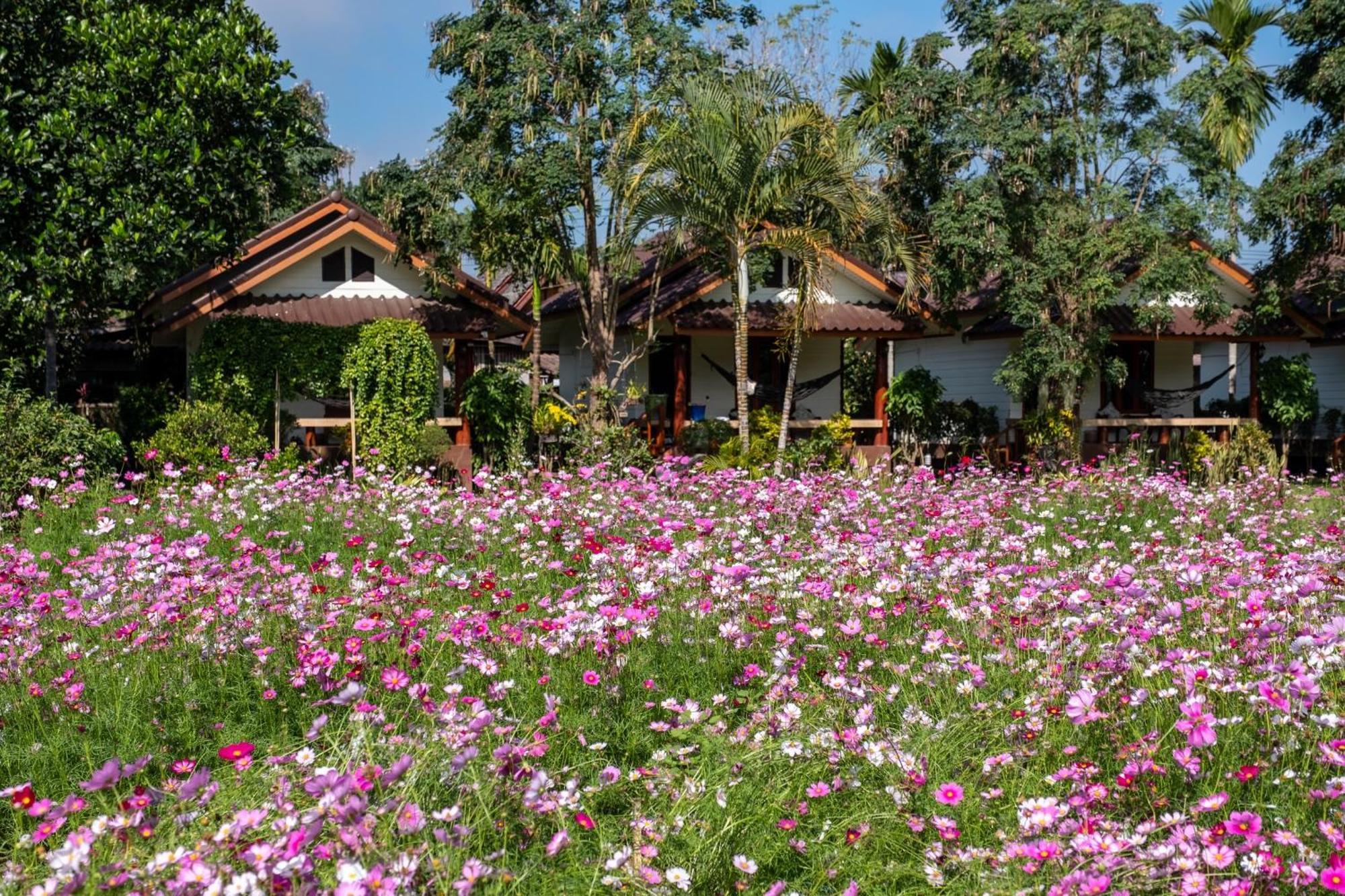 Resort The Nest House Pai